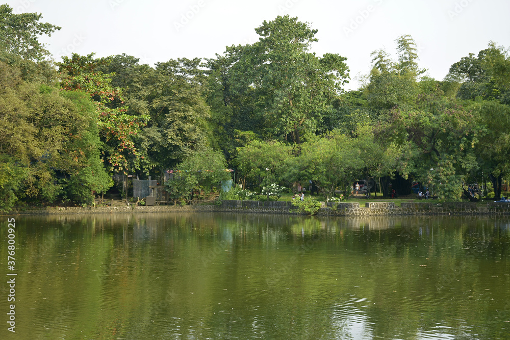 Ninoy Aquino parks and wildlife water lagoon in Quezon City, Philippines