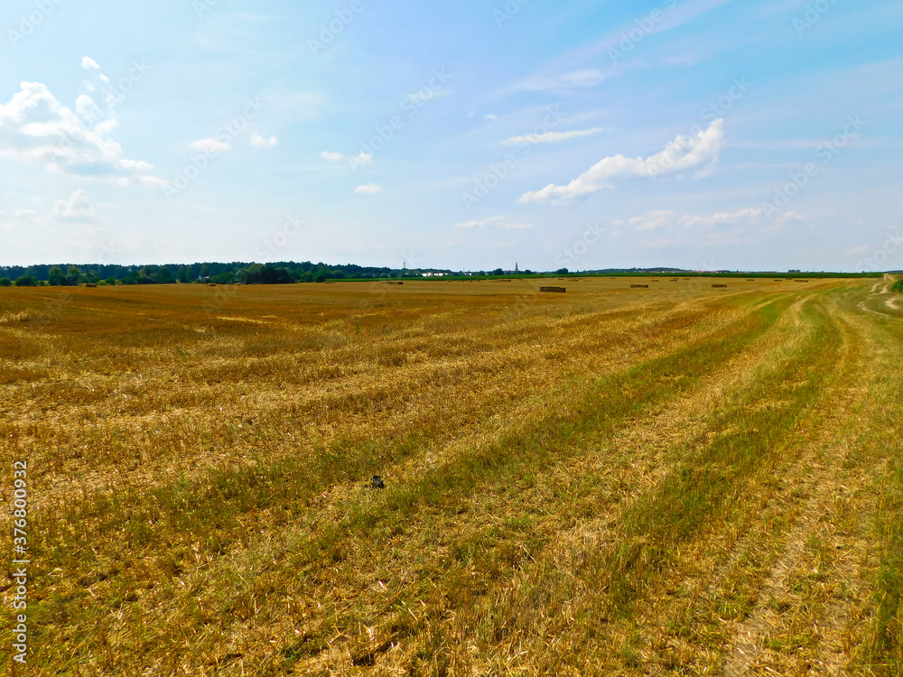 Getreideanbau in der Uckermark