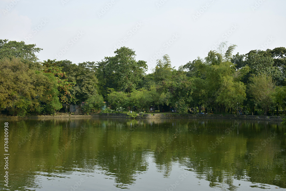 Fototapeta premium Ninoy Aquino parks and wildlife water lagoon in Quezon City, Philippines