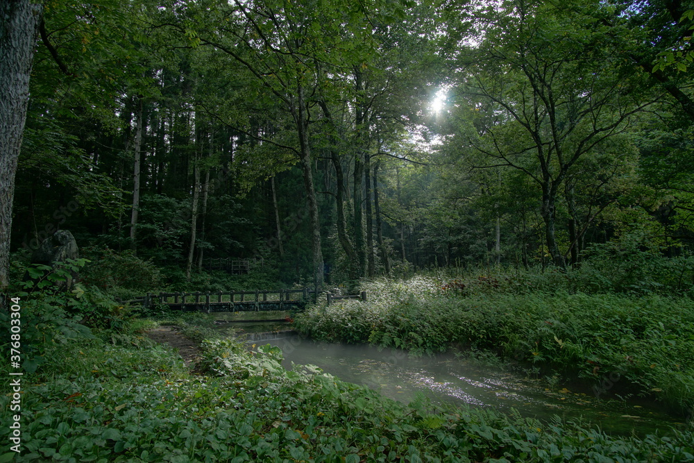 Nature park in Japanese Northern Alps, Hakuba, Japan.