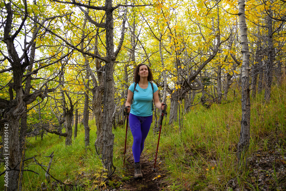 Adventurous Caucasian Girl Hiking up in the beautiful forest up a mountain during fall season. Taken near Whitehorse, Yukon, Canada. Adventurous Caucasian Girl Hiking up in the beautiful forest up a mountain during fall season. Taken near Whitehorse, Yukon, Canada.