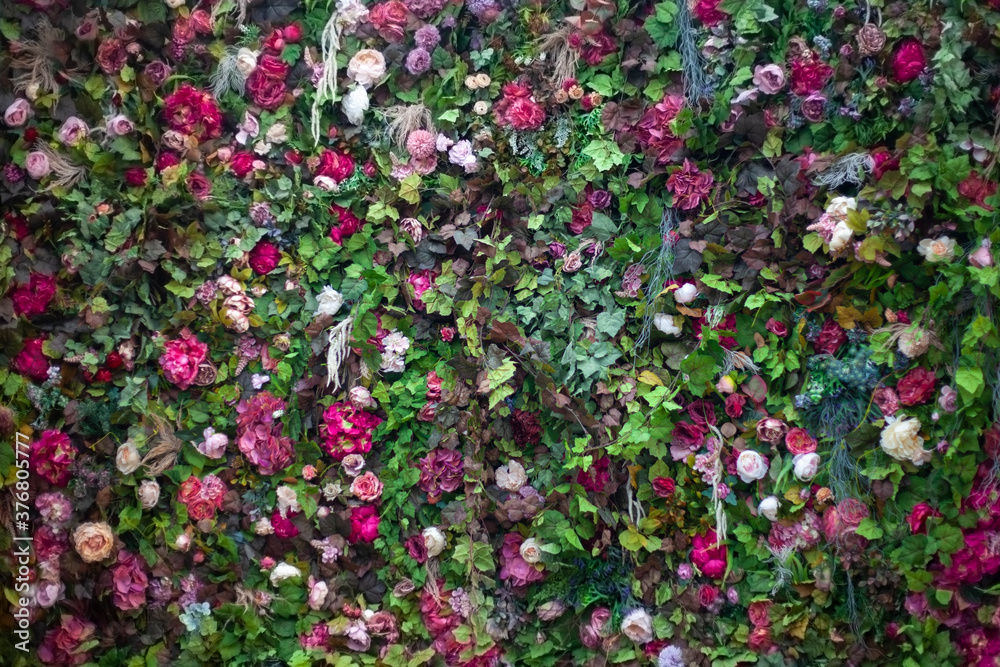 Texture of roses. A wall of fresh flowers.