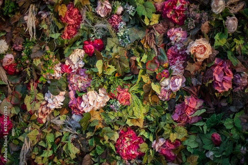 Texture of roses. A wall of fresh flowers.