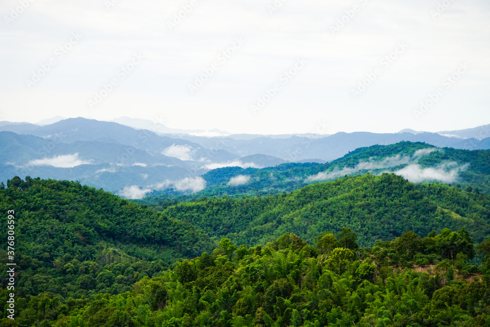 clouds lie on green hills, tropical valley, humidity and evaporation

