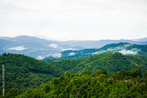 Fototapeta Naklejka Na Ścianę i Meble -  clouds lie on green hills, tropical valley, humidity and evaporation

