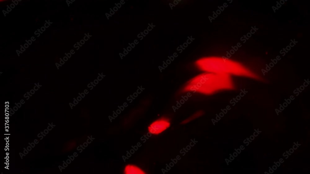 Red waves of flowing abstract mystical background, Fantastic waves of textural scarlet substance
