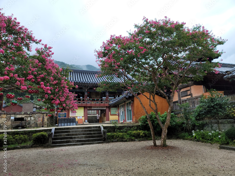 korean temple in the park