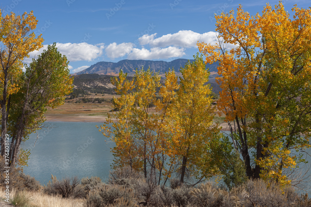 Autumn lake in western Colorado with golden trees in the foreground and mountains in the distance/ Autumn lake in western Colorado with golden trees in the foreground and mountains in the distance/