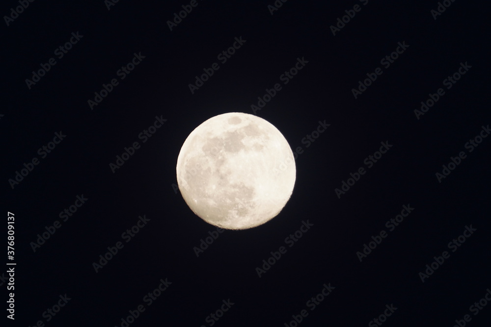 Fototapeta premium 満月