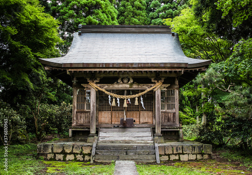 Shinto shrine surrounded by lush green trees