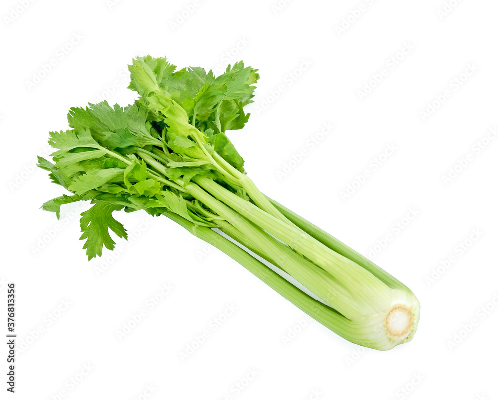 Fresh celery isolated on white background Fresh celery isolated on white background