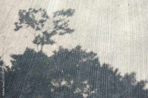 The shadow of the trees on the concrete road