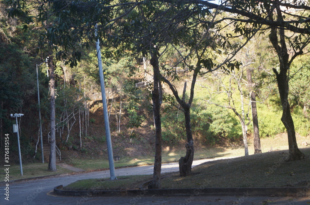 Obraz premium sunset in the park