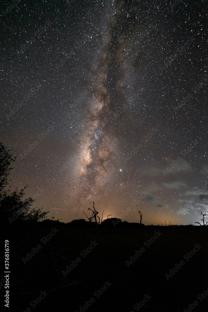 Milky Way observed from Las Coloradas, Mexico