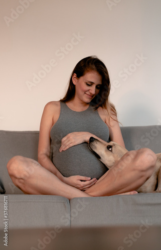 Beautiful pregnant woman with dog at living room
 (ID: 376816711)