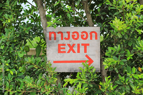 Exit with arrow sign on wood board against green leaf wall background.