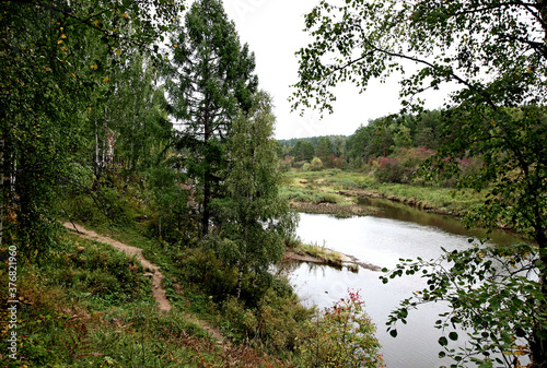 pond in the park