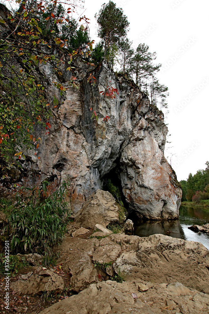 Obraz premium tree on the rocks