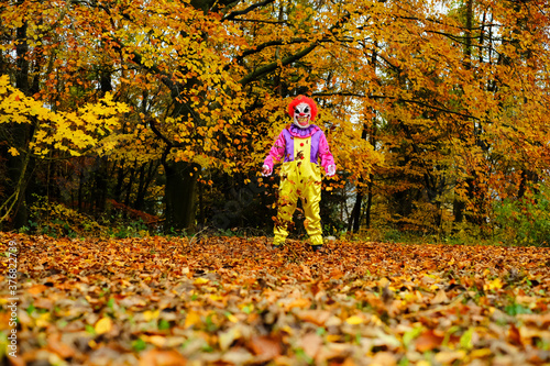 Halloween carnival.Halloween masquerade party.A scary clown with red hair and a sinister mask throws autumn leaves in the autumn forest.Autumn holidays time. halloween mood.Carnival in October