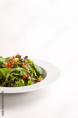 fresh salad dish