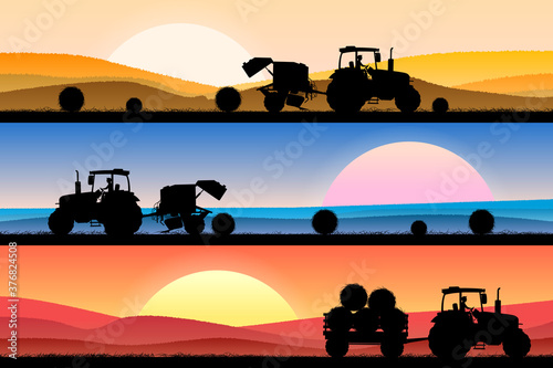 Collage of a field with wheat 