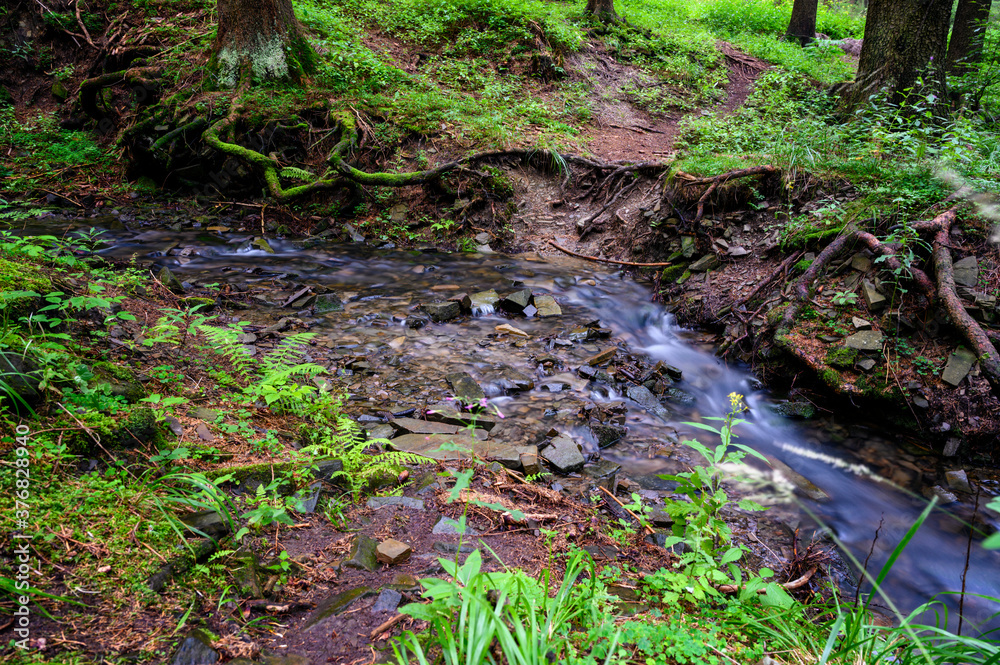 Flowing small river in the forest. Flowing small river in the forest.