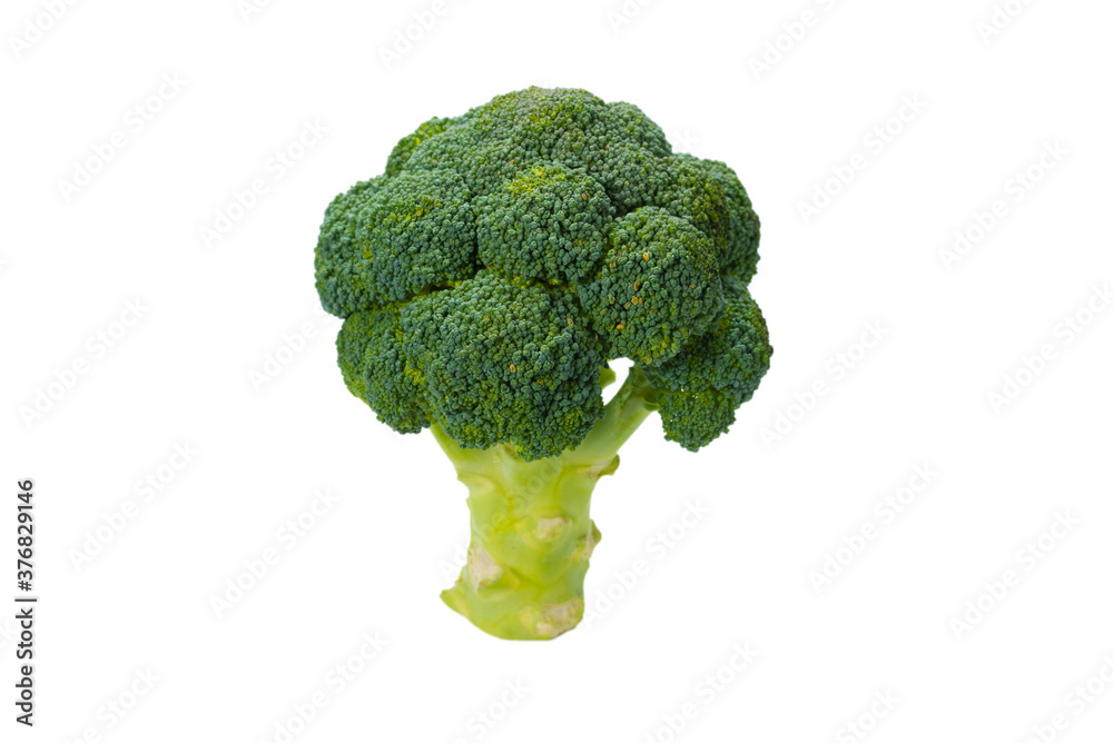 Fresh tasty broccoli isolated on white background. Fresh tasty broccoli isolated on white background.