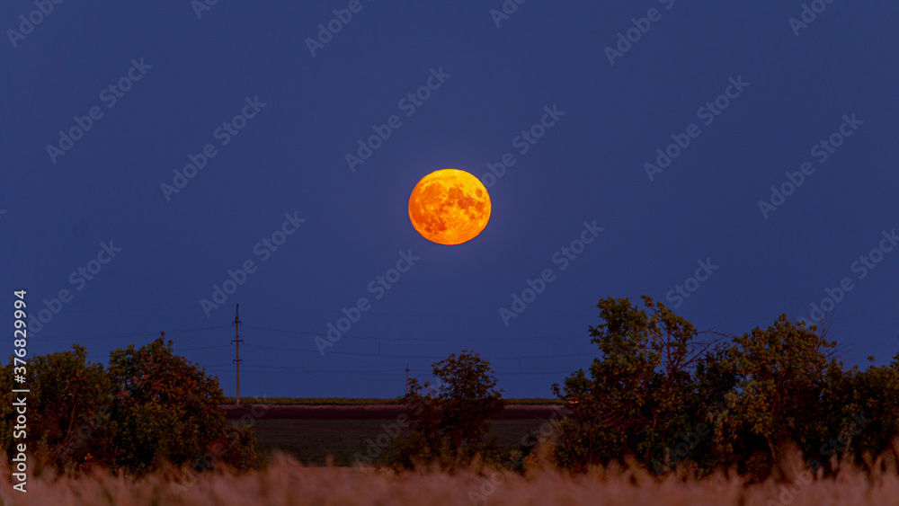 Large yellow moon above the horizon at sunset