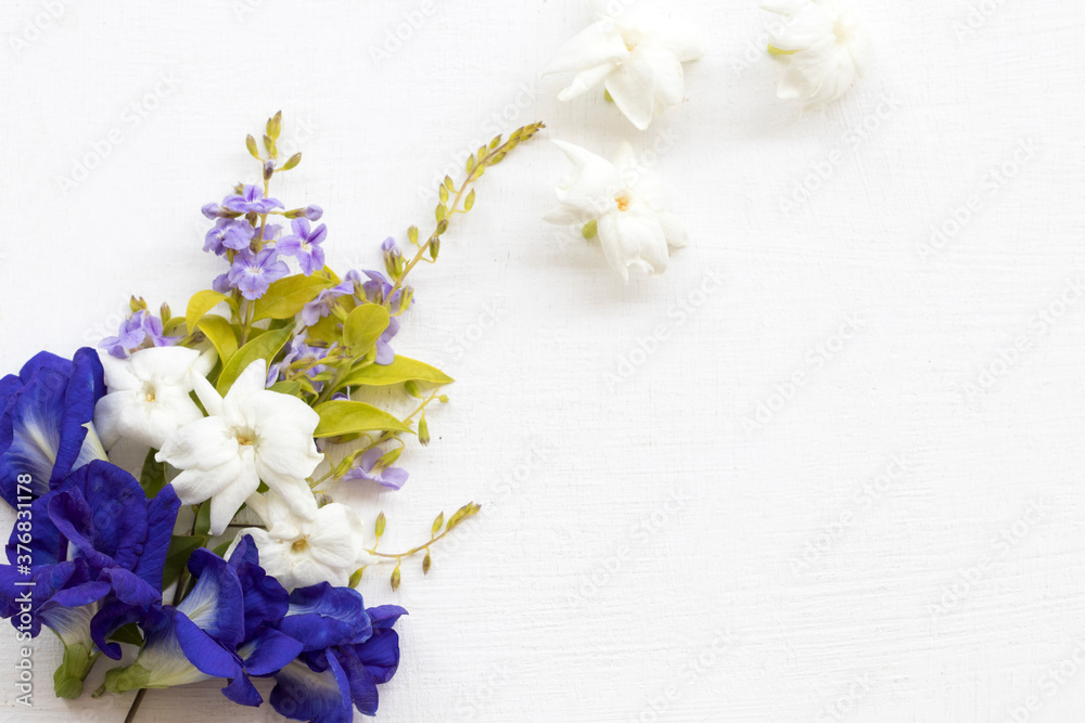 blue flower butterfly pea ,white flower jasmine and purple flower local flora of asia arrangement flat lay style on background white blue flower butterfly pea ,white flower jasmine and purple flower local flora of asia arrangement flat lay style on background white