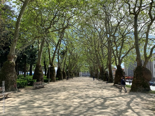 Walking in European Bliss