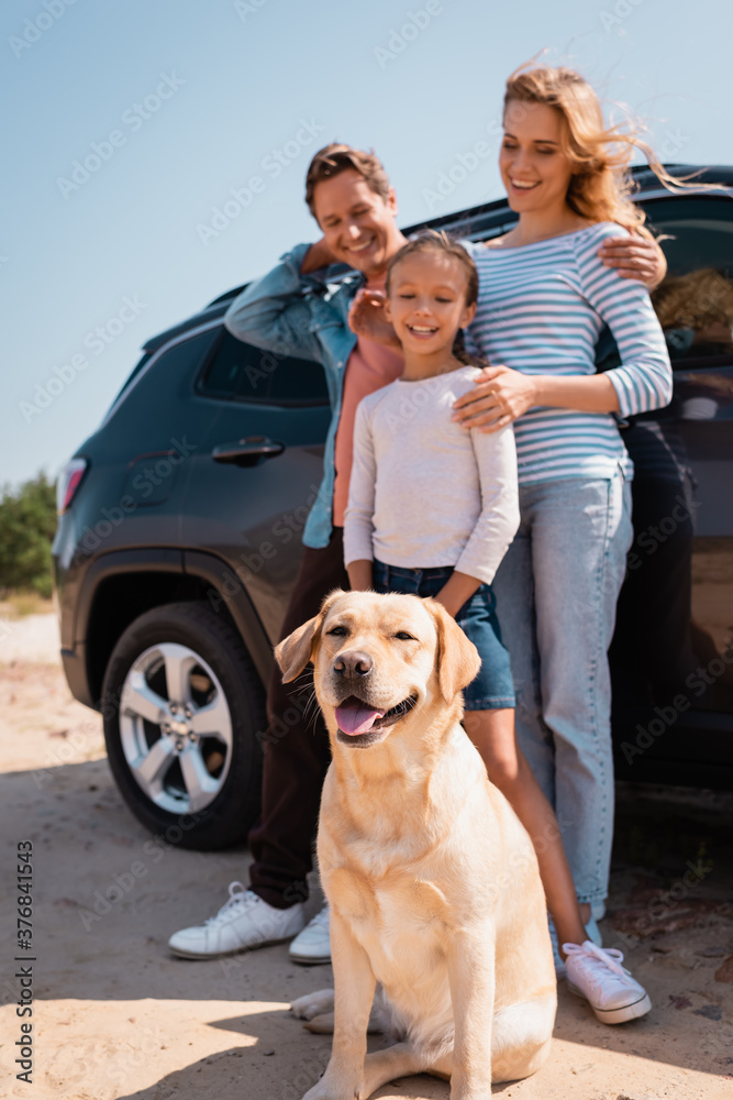 Selective focus of golden retriever sitting near family and auto outdoors Selective focus of golden retriever sitting near family and auto outdoors