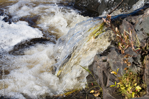 Fotografía rabids in Tornio Finland