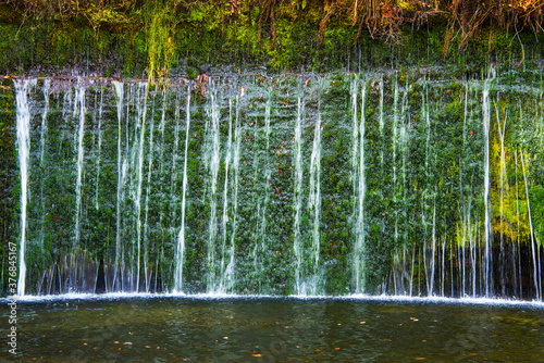 苔の生えた小さな滝