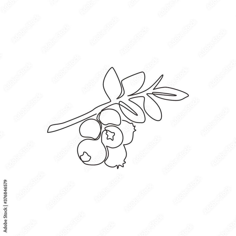 One continuous line drawing of whole healthy organic blueberries for orchard logo identity. Fresh blue berry fruitage concept for fruit garden icon. Modern single line draw design vector illustration One continuous line drawing of whole healthy organic blueberries for orchard logo identity. Fresh blue berry fruitage concept for fruit garden icon. Modern single line draw design vector illustration