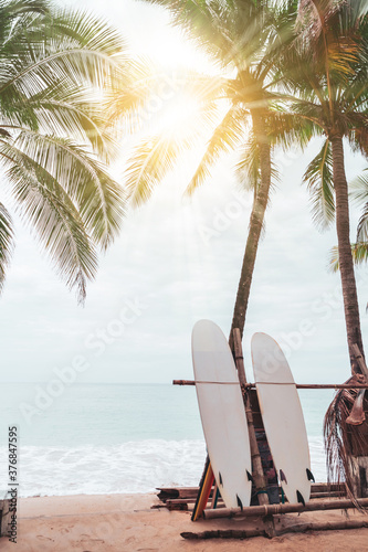 Canvas Print Many surfboards beside coconut trees at summer beach with sun light and blue sky background