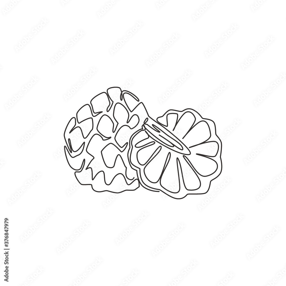 One continuous line drawing of whole and half sliced healthy organic fruit sugar for orchard logo identity. Fresh fruitage concept for garden icon. Modern single line draw design vector illustration One continuous line drawing of whole and half sliced healthy organic fruit sugar for orchard logo identity. Fresh fruitage concept for garden icon. Modern single line draw design vector illustration