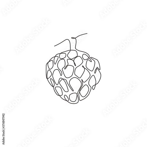 Single continuous line drawing of whole healthy organic fruit sugar for orchard logo identity. Fresh antioxidant fruitage concept for fruit garden icon. Modern one line draw design vector illustration