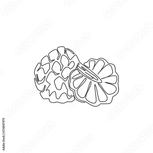 One continuous line drawing of whole and half sliced healthy organic fruit sugar for orchard logo identity. Fresh fruitage concept for garden icon. Modern single line draw design vector illustration