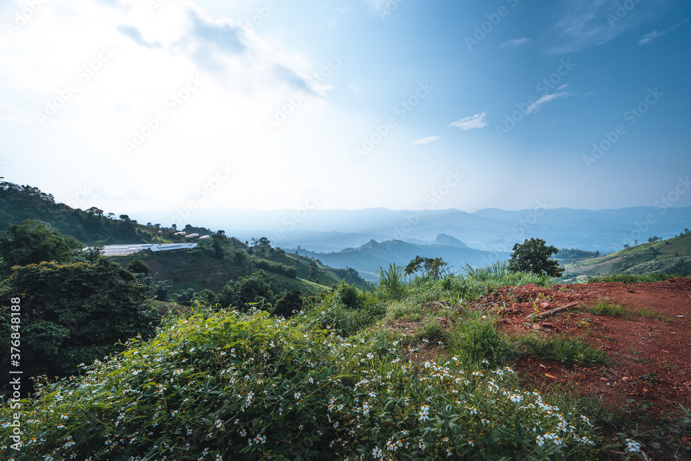 On the mountain in the afternoon, green grass, clear air.