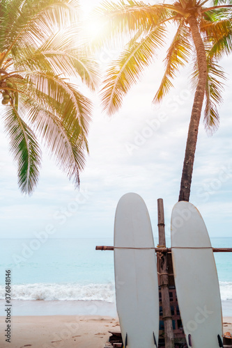 Many surfboards beside coconut trees at summer beach with sun light and blue sky background. © ant