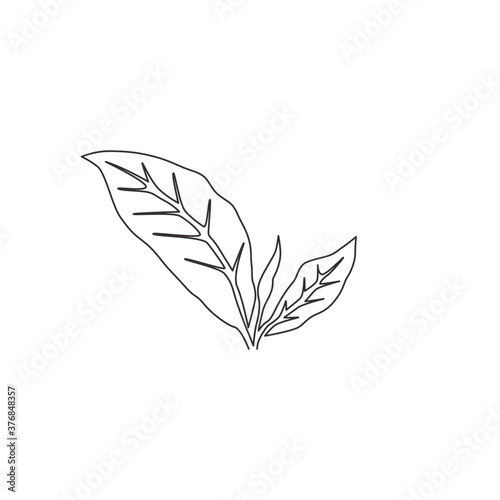 Single continuous line drawing healthy organic tea leaves for plantation logo identity. Fresh tender bud of tea shoot concept for tea leaf icon. Modern one line draw graphic design vector illustration