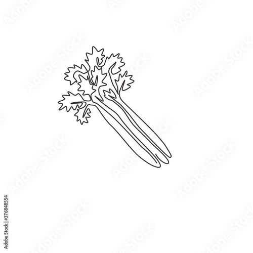 Single continuous line drawing of bunch healthy organic green celery for farm logo identity. Fresh marshland plant concept for vegetable icon. Modern one line draw design graphic vector illustration