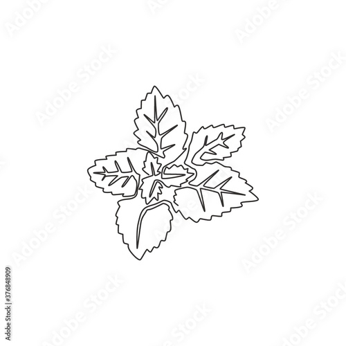 Single continuous line drawing of healthy organic mint leaves for farm logo identity. Fresh mentha plant concept for plantation icon. Modern one line draw design graphic vector illustration