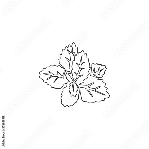 One single line drawing of healthy organic mint leaves for farm logo identity. Fresh lamiaceae plant concept for plantation icon. Modern continuous line graphic draw design vector illustration