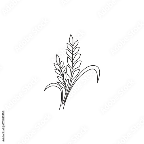 Single continuous line drawing of whole healthy organic wheat grain for farm logo identity. Fresh staple food concept for breakfast cereal icon. Modern one line draw design vector graphic illustration
