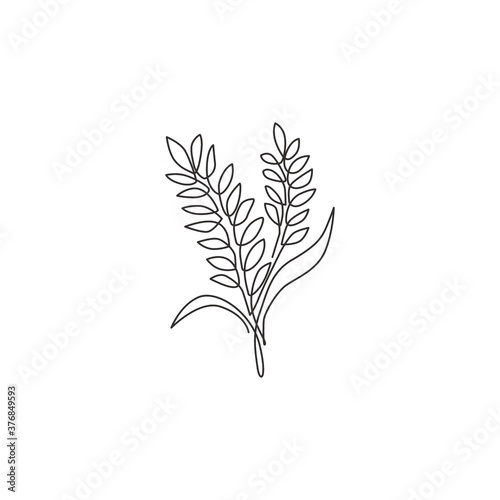One continuous line drawing of whole healthy organic wheat grain for farm logo identity. Fresh staple food concept for breakfast cereal icon. Modern single line draw design graphic vector illustration