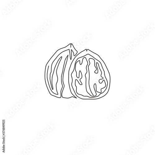 One continuous line drawing of whole healthy organic walnut food for plantation logo identity. Fresh nutshell concept for healthy seed icon. Modern single line draw design graphic vector illustration