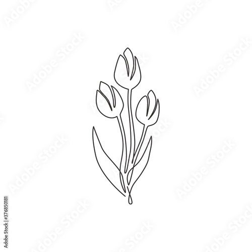 Single continuous line drawing of beauty fresh tulip for garden logo identity. Decorative Netherlands nationality flower concept for fashion textile. Modern one line draw design vector illustration