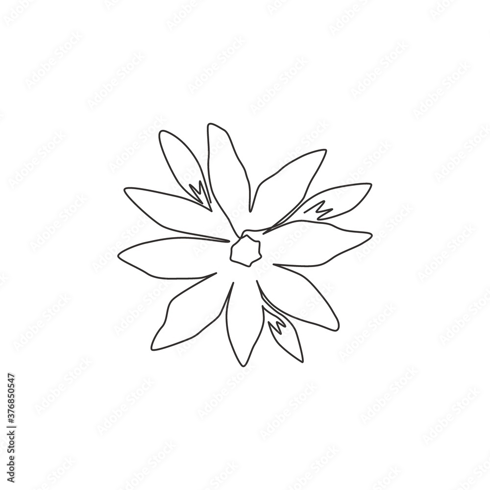 One single line drawing of beauty fresh orchid for home wall decor poster art. Printable decorative orchidaceae flower ornament concept. Modern continuous line draw design vector graphic illustration One single line drawing of beauty fresh orchid for home wall decor poster art. Printable decorative orchidaceae flower ornament concept. Modern continuous line draw design vector graphic illustration