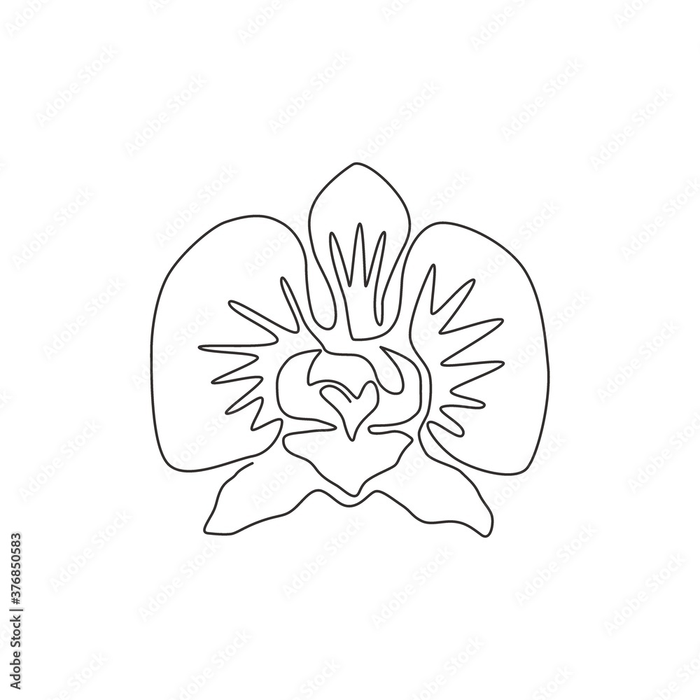 One continuous line drawing of beauty fresh orchid for home wall decor art. Printable decorative poster orchidaceae flower concept for park icon. Modern single line draw design vector illustration One continuous line drawing of beauty fresh orchid for home wall decor art. Printable decorative poster orchidaceae flower concept for park icon. Modern single line draw design vector illustration